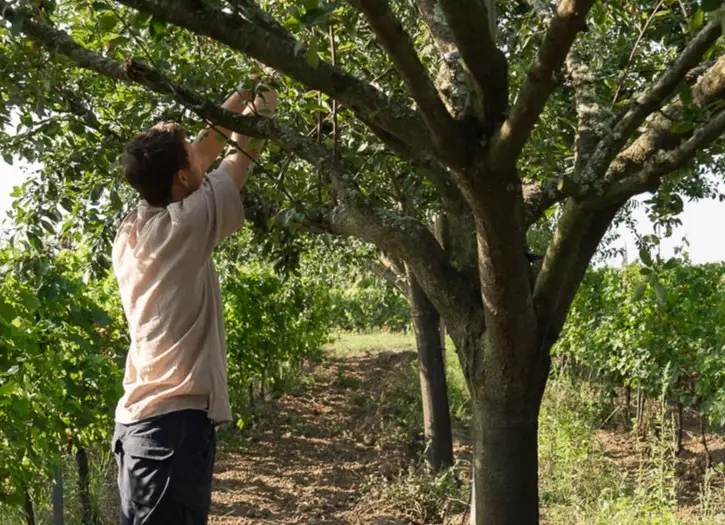 Hors-série : Bordeaux Vignoble Engagé