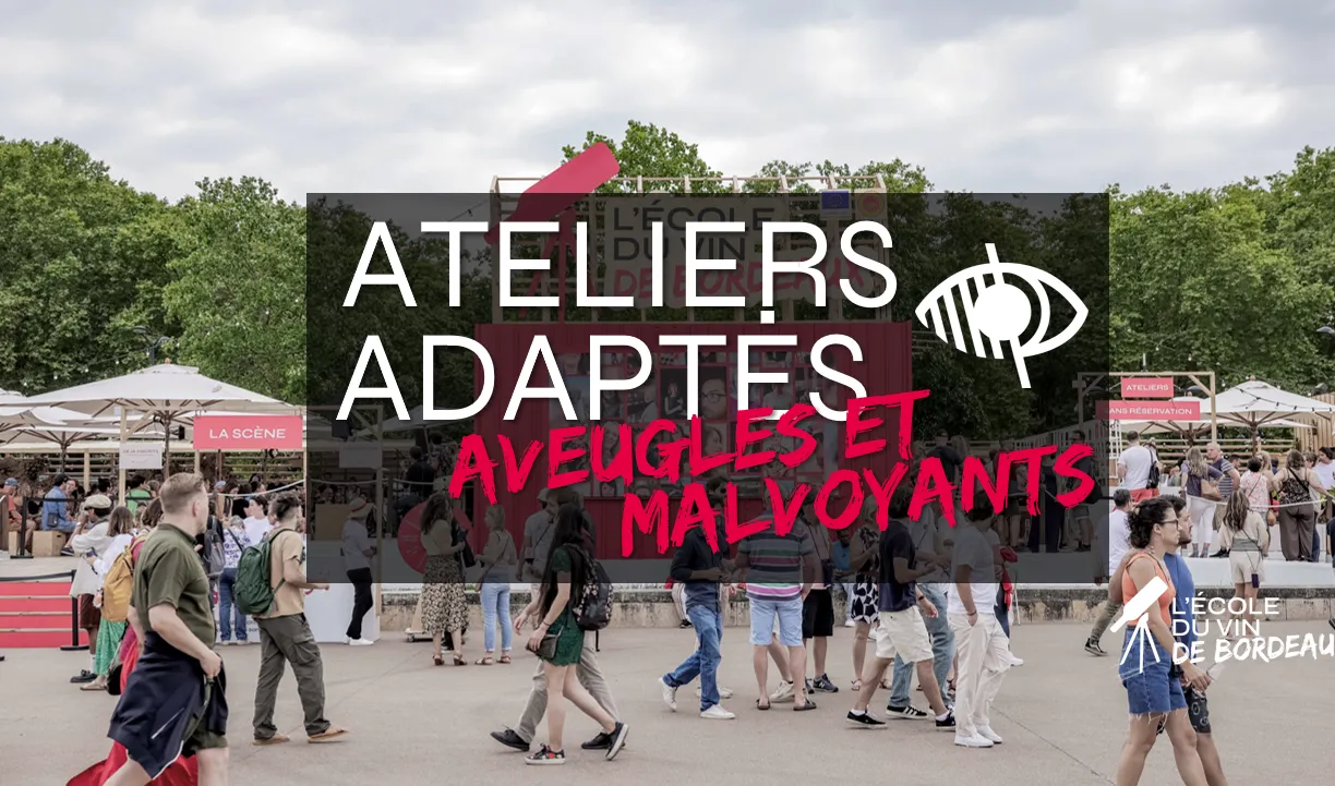 Ateliers découverte