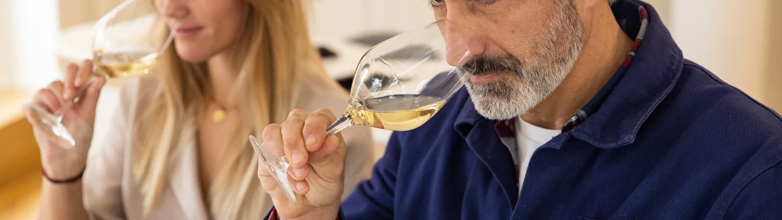 Iniciación A LA CATA-0