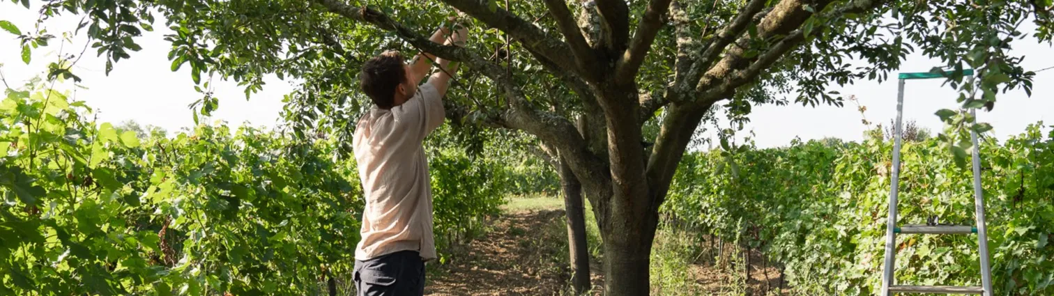 Hors-série : Bordeaux Vignoble Engagé-0