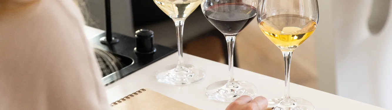 Dégustation mode d’emploi – en soirée-0