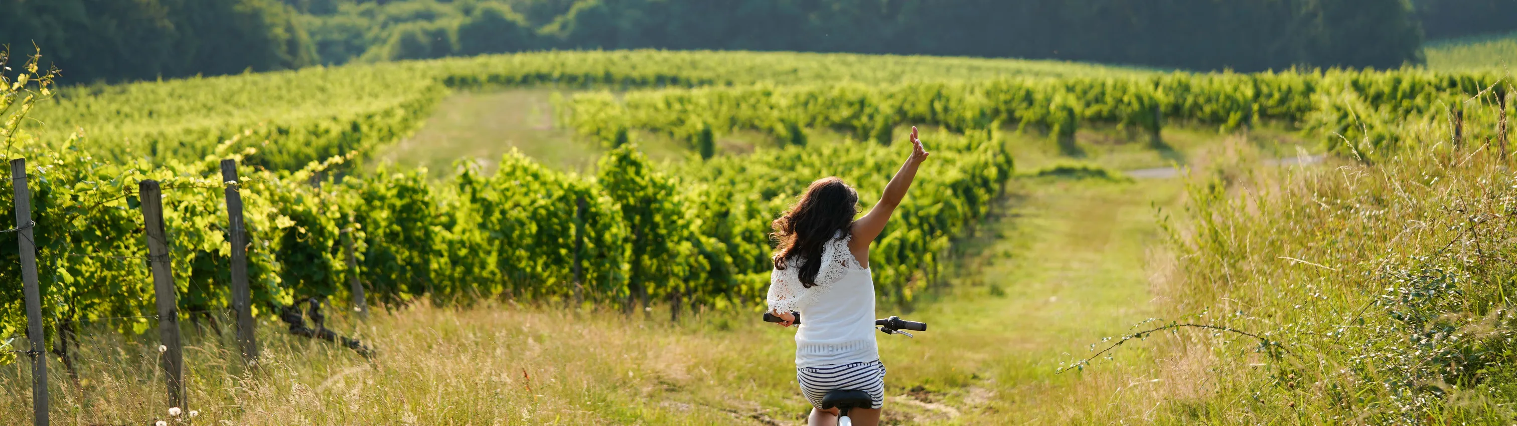 Pourquoi et comment lancer son activité oenotouristique : de la définition à la mise en œuvre du projet-0