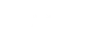 logo edv