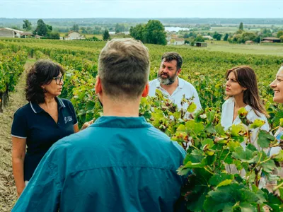 le_medoc