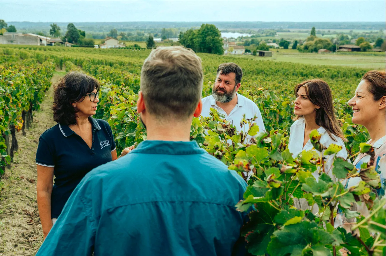 le_medoc