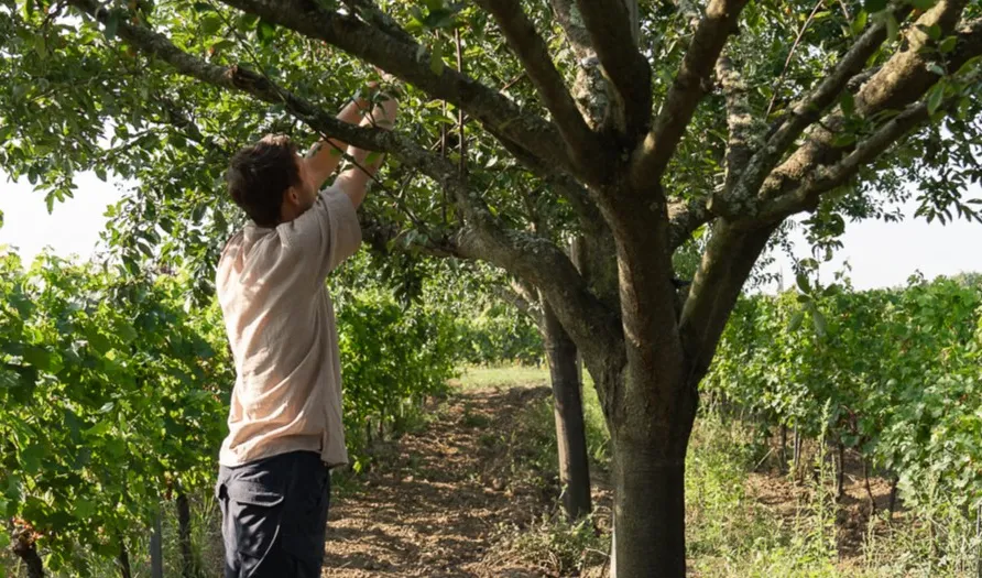 Hors-série : Bordeaux Vignoble Engagé