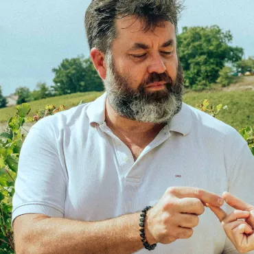 Activités dégustation : un séjour pour découvrir les vins de Bordeaux