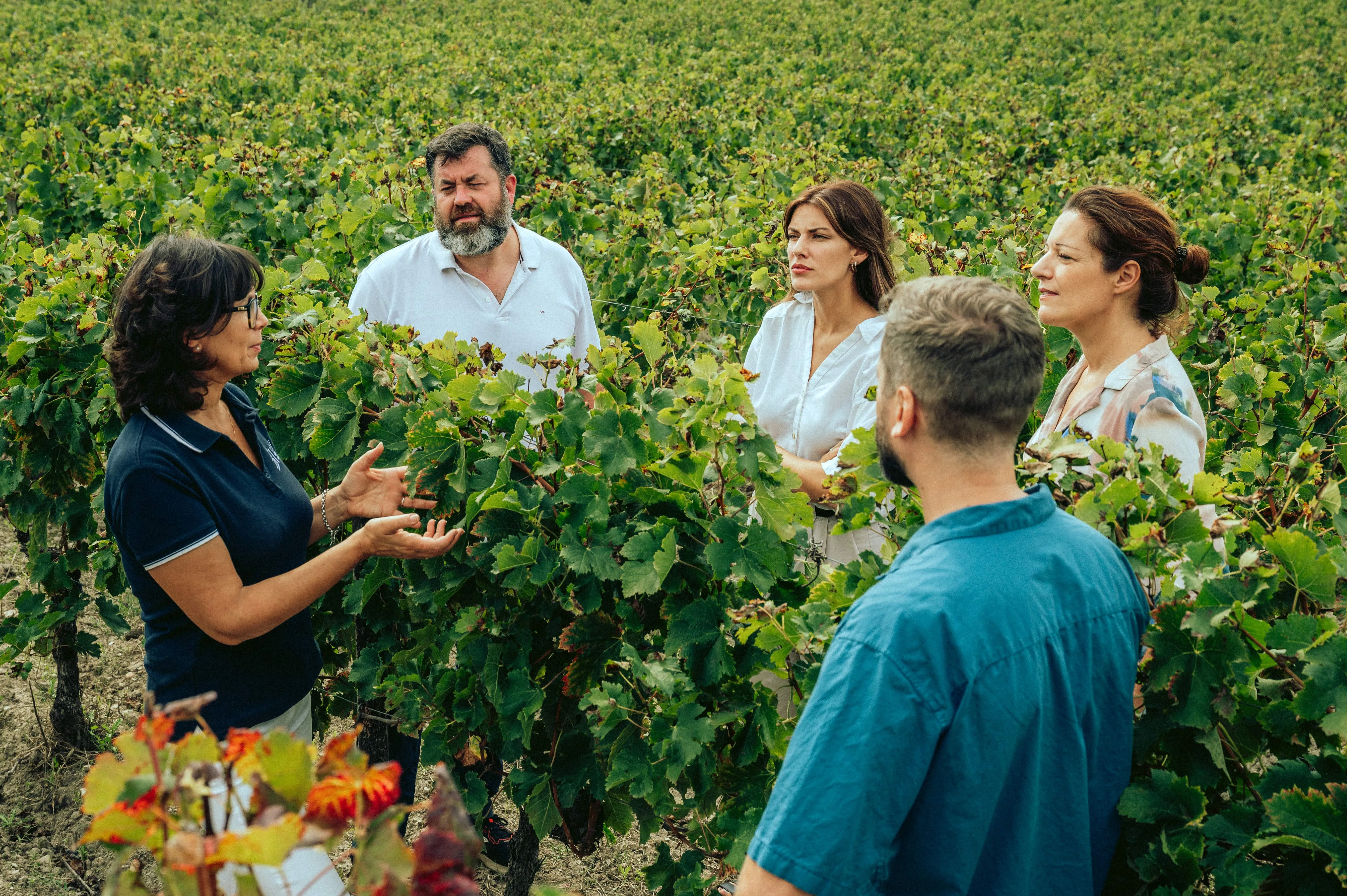 Des formations professionnelles d’œnologie, dédiées aux enjeux de la filière vin