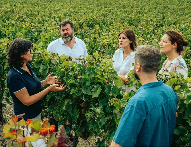 Des formations professionnelles d’œnologie, dédiées aux enjeux de la filière vin